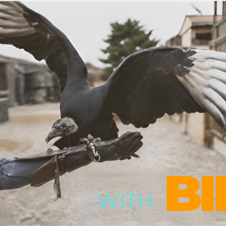 North Texas Giving Day - Beers & Birds - logo